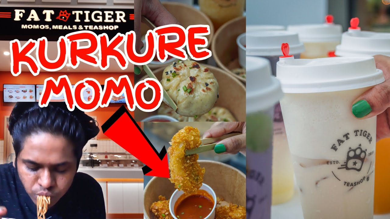 FAT TIGER INDIA now in KOLKATA | BANGLA VLOG