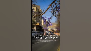 حالات واتساب دينية ( آيات من الذكر الحكيم)