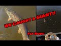 Giant Pike on the Fly Rod | Fly-rod vs Bait-caster