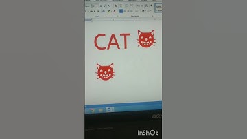How to make Cat (1f638)😺 in Ms Word with the help of Unicode character (It