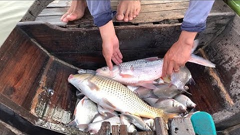 Dẩn vợ đi câu cá dãnh bè bình thạnh không ngờ trúng ngây ỗ cá dãnh cá chép cá cóc dựt mỏi tay