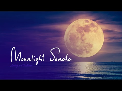 Songs to put a baby to sleep | Lullabies