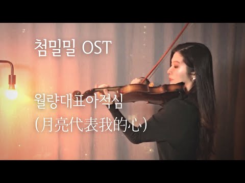 월량대표아적심 (月亮代表我的心) - Various Artists