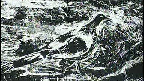 Howard Bradford and Dorothy Louise Bowman Artist