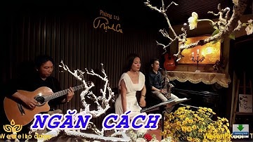 NGĂN CÁCH [Y Vân] tiếng hát Bích Ngọc | Phòng Trà Trịnh Ca