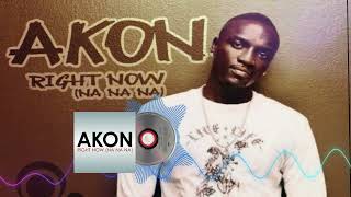 Akon - Right Now (Na Na Na) (Dmitriy Rs Max Wave Remix) Resimi