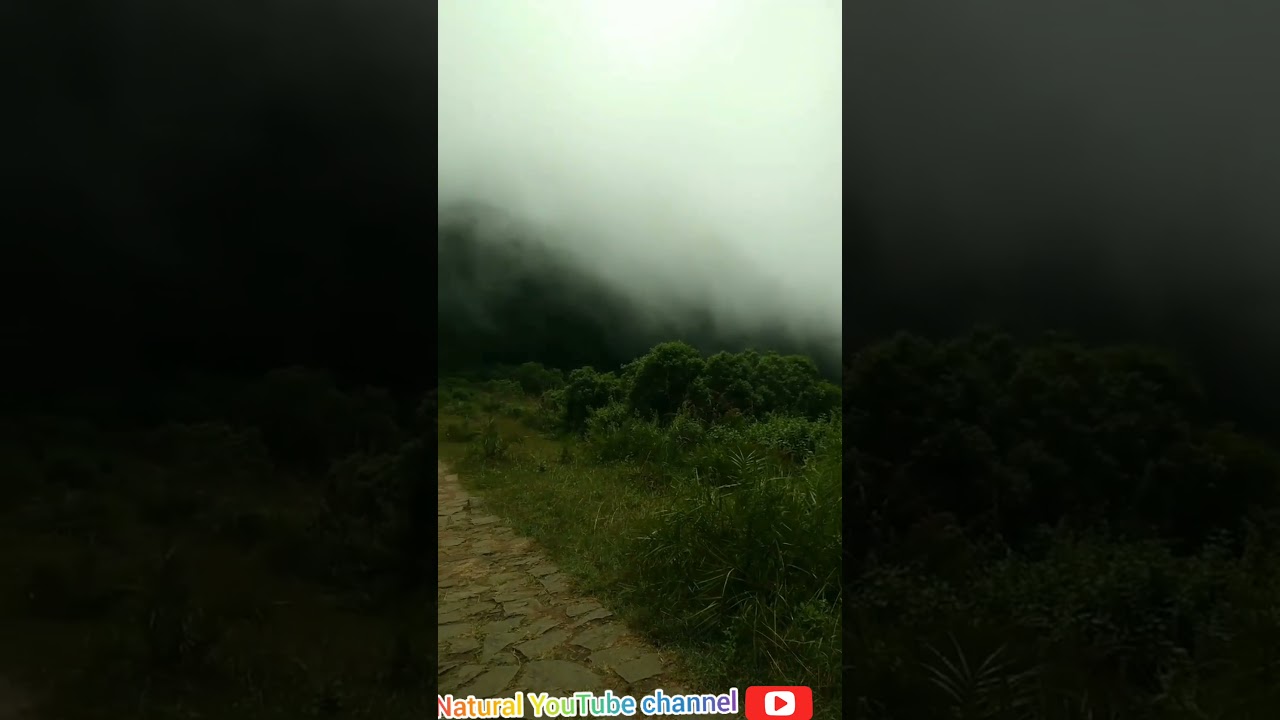 smoke always beautiful 