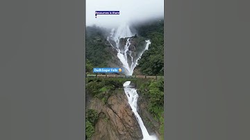 Sustainability #resources #management #environment #shorts #video #world #shortsvideo #waterfall