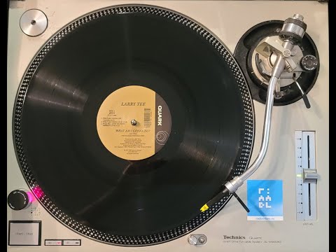 Larry Tee – What Am I Gonna Do? / Love Machine – Vinyl (12
