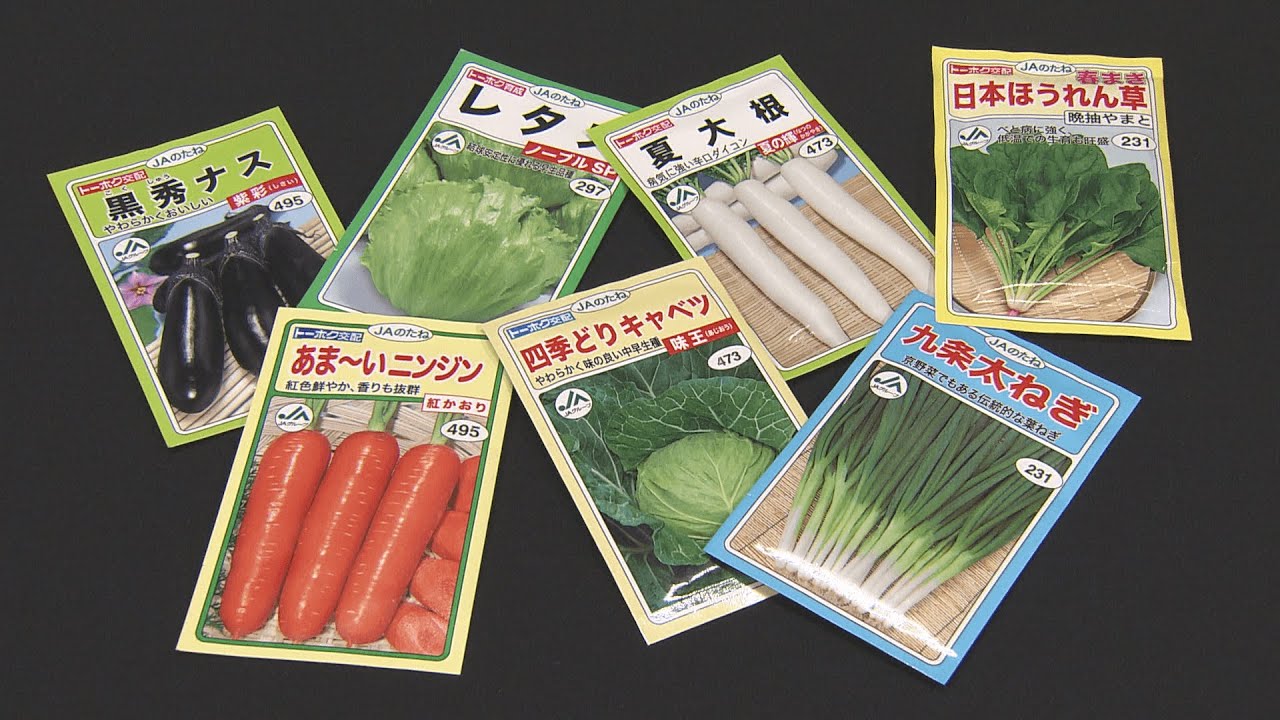 都内で 野菜 raica1080 株式会社 DX-80｜製品一覧｜野菜加工機、フード