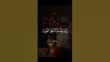 ماتيسر من سورة فاطر بصوت الشيخ عبدالباسط عبدالصمد