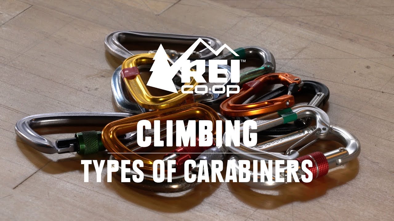 ⁣What Are the Different Types of Carabiners? || REI