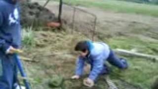 Davídek A Kubíček Jak Se Řeže Dřevo D