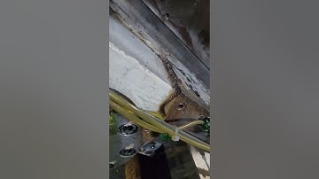 Okuma LB3000EX Z-axis gib adjustment.