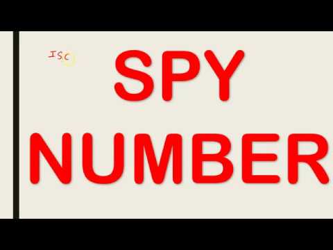 Spy Number