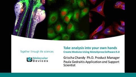 Take analysis into your own hands Create Modules Using MetaXpress Software 5.0