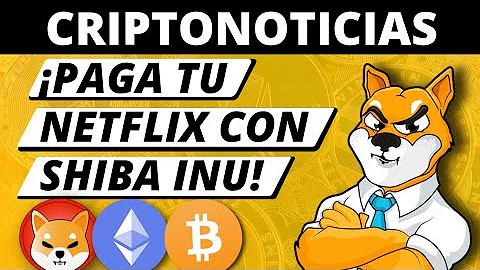 ¿Puedo pagar Netflix en Shiba Inu?