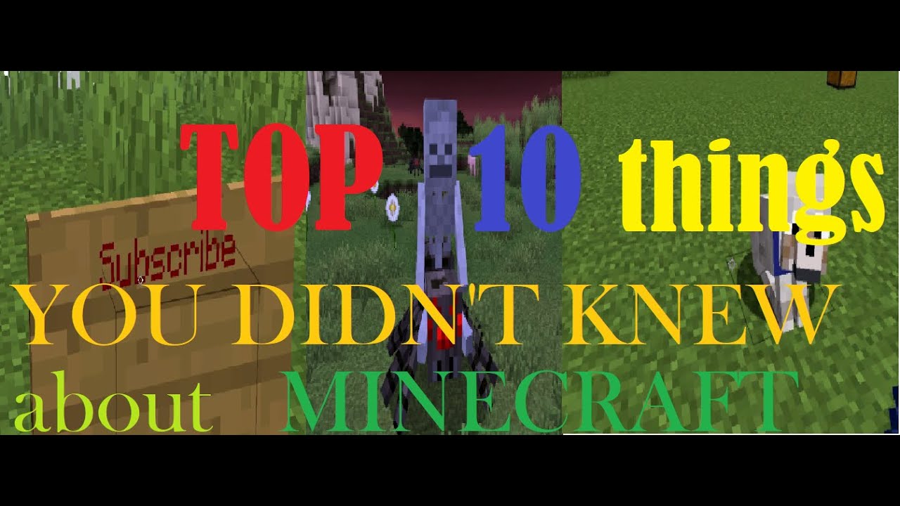 75 Things You Didn't Know About Minecraft Top 10 Things You Didn't Know About Minecraft!!? - YouTube