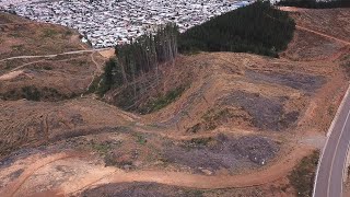 Trailer: Das verzweigte Aufbäumen - Von Zellstoff, Landkonflikt und Widerstand in Chile