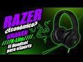 ¿RAZER Haciendo un headset económico para Latinoamérica? KRAKEN X Lite - Droga Digital