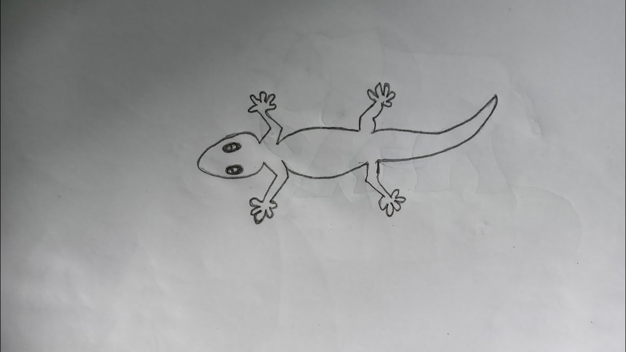 Lizard drawing (2) by ChaosLizord on DeviantArt