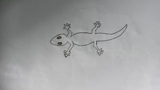 How to draw lizard? ?/Easy to follow / Lizard drawing for beginners...