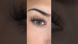 Manga lash tutorial from Veyes beauty #clusterlashes #lashes #clusters #veyesbeauty Profile