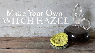 Making Witch Hazel Tonic from the Bark & Deodorant and Toner, Homemaking