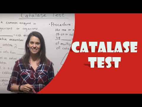 Video: Care este numele enzimei care este detectată într-un test pozitiv al catalazei?