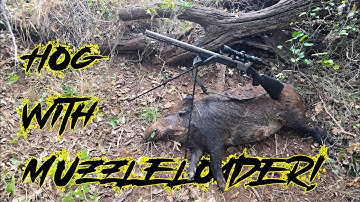 Hog Hunting with the Traditions Pursuit XT Muzzleloader!