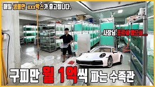 한달에 구피만 1억원치, 새우 40만마리, 오토싱 1만마리를 판매하는 미친 규모의 수족관을 찾았습니다....