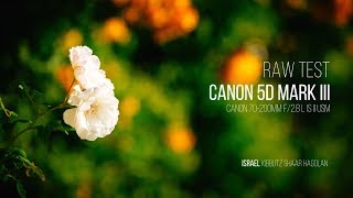 Canon 5D MARK III - RAW test (Israel)