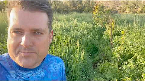 1 Year Of Syntropy In Africa - Syntropic Agriculture