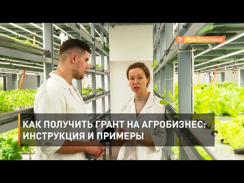 Как получить грант на агробизнес: инструкция и примеры