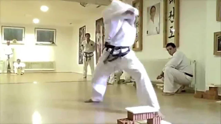 Traditional Taekwon-Do Salvatore Terranova