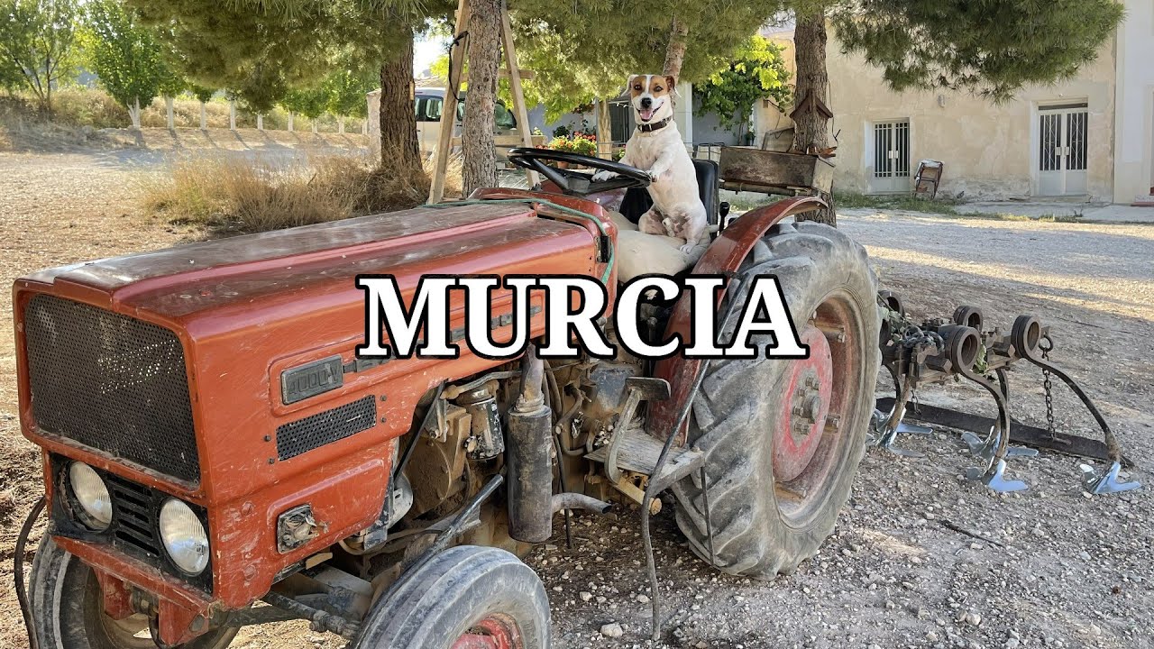 Qué ver y hacer en MURCIA Ruta del Vino Bodegas Balcona