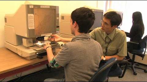 How to use the Archives