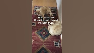 A Course in Miracles 146 of 365 #acim #miracles #peace #illusions l