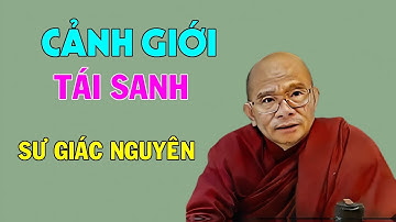Cảnh Giới Tái Sanh | Sư Giác Nguyên | Sư Toại Khanh
