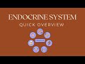 Overview Of Endocrine System For Nursing Students NCLEX Prep 1 Overview Of Endocrine System For Nursing Students NCLEX Prep 1
