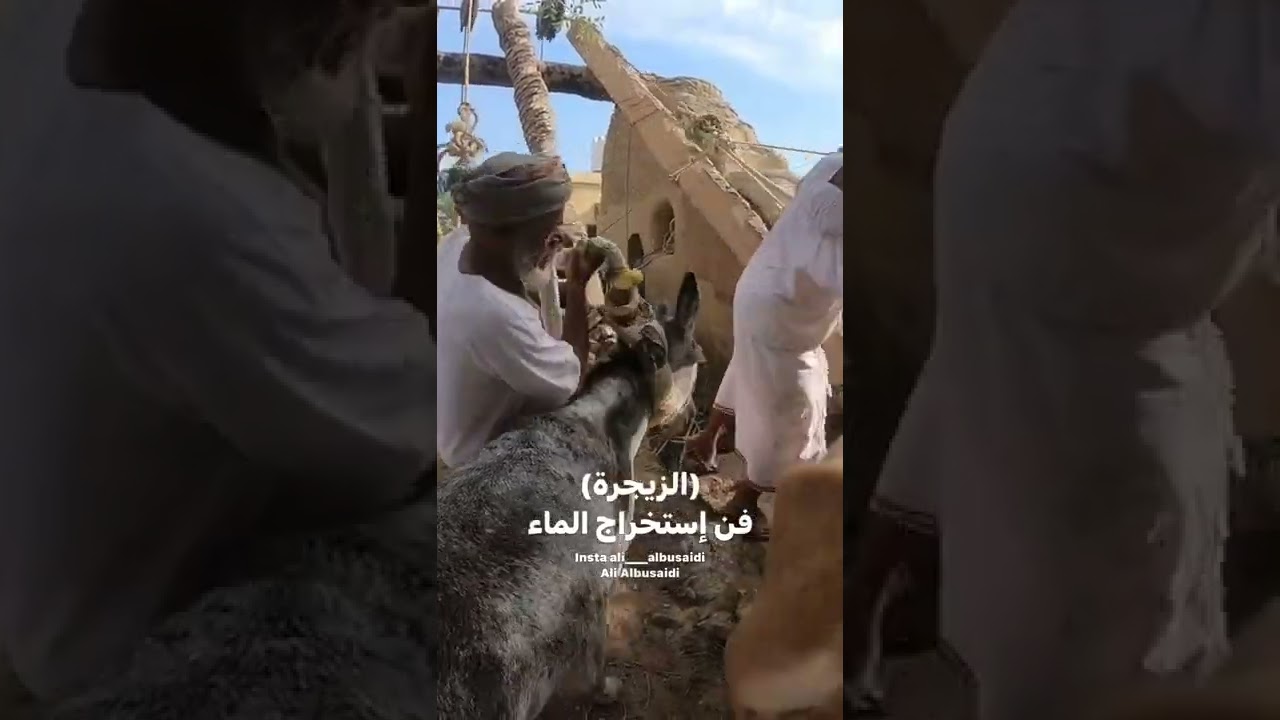 الزيجرة في ولاية بهلاء ( الزاجرة) ( المنيور)