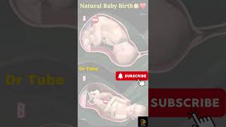 Natural Baby Birth Process for your Basic Education ?❤? Baby Delivery ❤