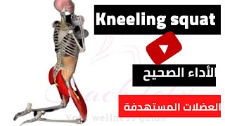 سكوات على الركب kneeling squat(الأداء الصحيح+العضلات المستهدفة)Wright way of exercise+muscle worked