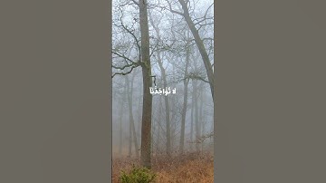 سورة البقرة || الشيخ محمد صديق المنشاوي رَبَّنَا لاَ تُؤَاخِذْنَا إِن نَّسِينَا أَوْ أَخْطَأْنَا