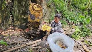 The Orphan Boy went to the forest to get a large nest of honey to sell, bake, and raise pigs