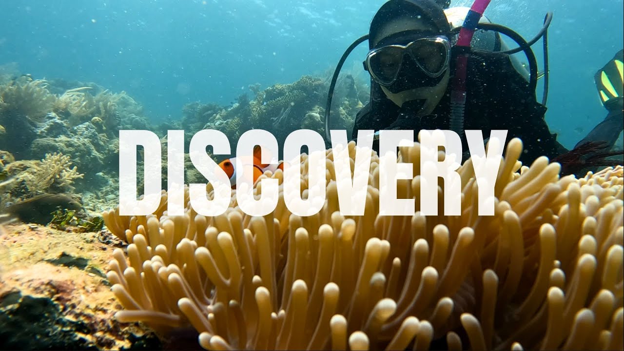 Discovery YouTube