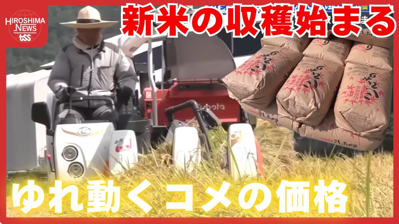 新米の収穫始まる　「コメ価格」生産者と消費者の間でゆれ動く　広島 (2025/09/03 20:00)