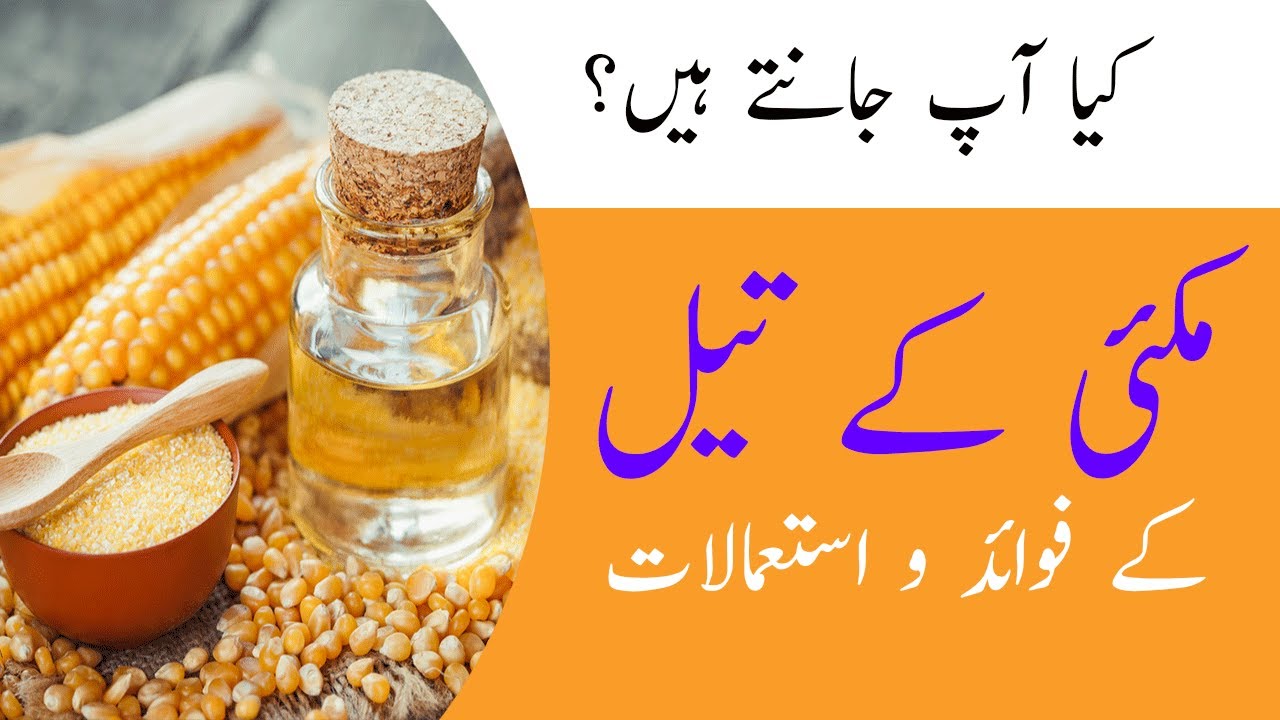Learn the benefits and uses of corn oil and easy way to make it at home مکئی کے تیل Hunza Tv