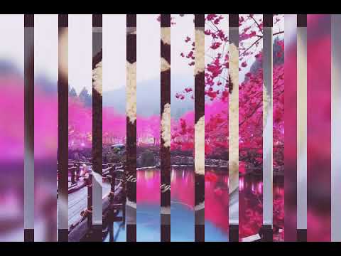 كل سنه وانت طيبه يا اميرة