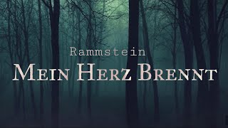 Rammstein - Mein Herz Brennt (Guitar Cover by Alshadow)
